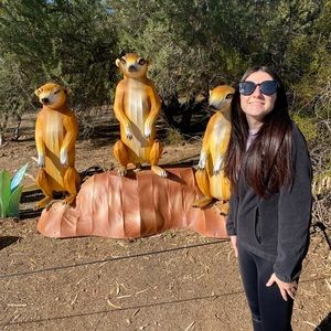 Meet your Posher, Ally